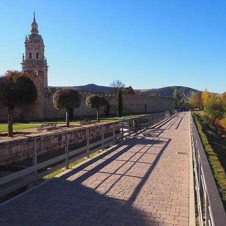 La Casona Del Zoilo -Los Arenales- El Burgo De Osma Kültér fotó