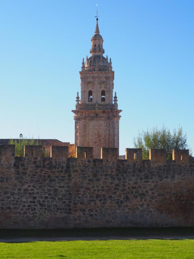 La Casona Del Zoilo -Los Arenales- El Burgo De Osma Kültér fotó